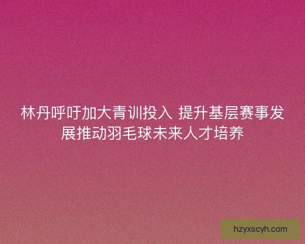 林丹呼吁加大青训投入 提升基层赛事发展推动羽毛球未来人才培养