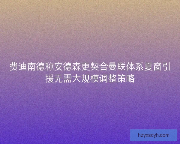 费迪南德称安德森更契合曼联体系夏窗引援无需大规模调整策略 费迪南德称安德森更契合曼联体系夏窗引援无需大规模调整策略